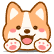 pouchgo_logo